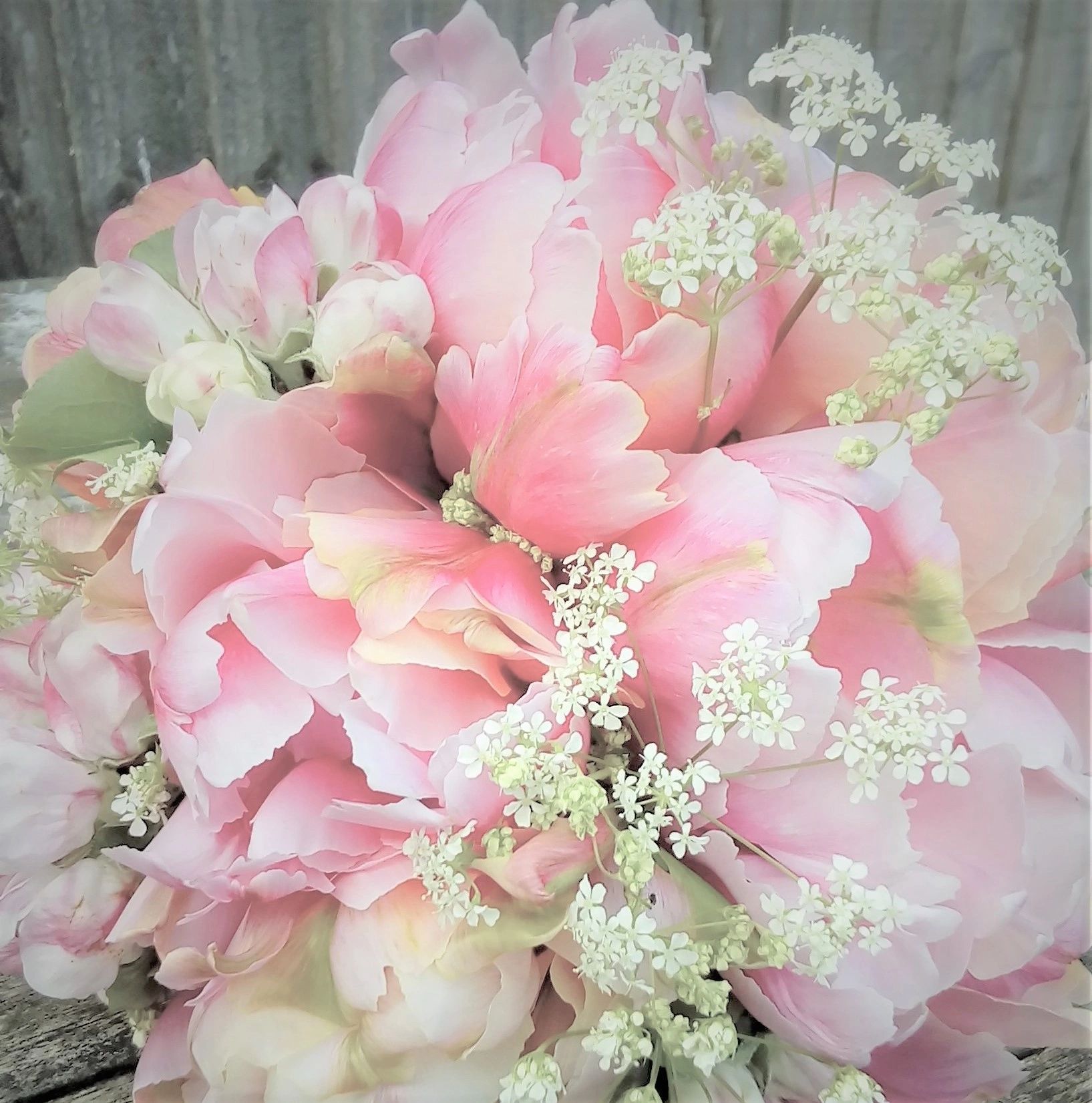 Willow green flower farm